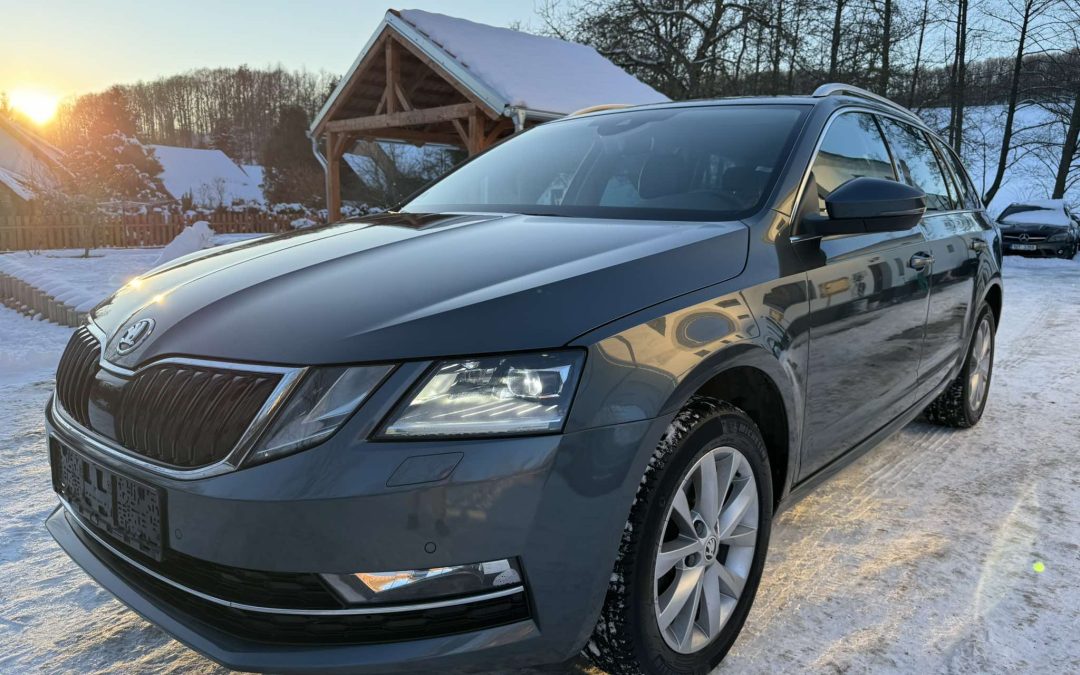 Octavia 2.0 TDI z roku 2019 se nám zalíbila natolik, že jsme ji dovezli na prodej